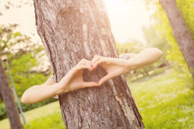 Kalp - doğa ve çevre için şekil.