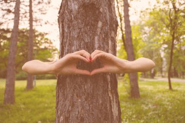 Kalp - doğa ve çevre için şekil.