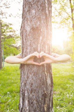 Kalp - doğa ve çevre için şekil.