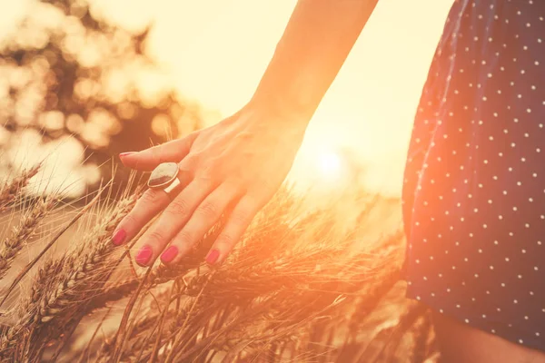 Girl Relaxing Wheat Field Shallow Focus Hand — Stock Photo, Image