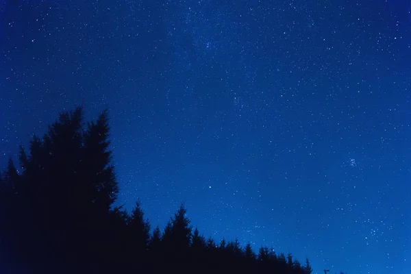 Estrelas Caminho Leitoso Silhuetas Árvore Fotografadas Com Lente Largo Ângulo — Fotografia de Stock