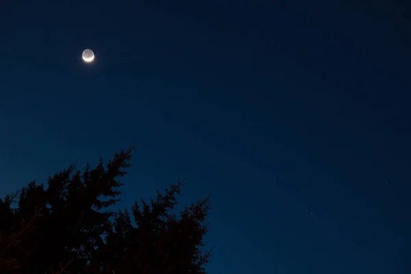 Vía Láctea Estrellas Luna Siluetas Árboles Fotografiados Con Lente Gran — Foto de Stock