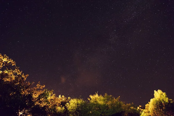 Αστέρια Του Γαλαξία Και Δέντρο Σιλουέτες Φωτογραφήθηκε Ευρυγώνιο Φακό — Φωτογραφία Αρχείου