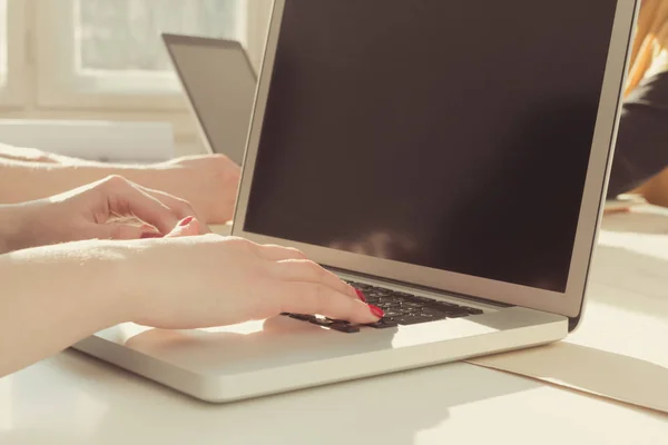 Pessoas Usando Lap Tops Escritório Ensolarado — Fotografia de Stock