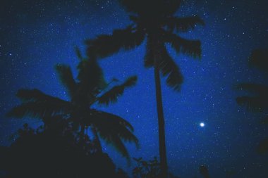 Silhouettes of coconut trees with southern hemisphere Milky Way stars and Mars in lower left part of image. My astronomy work.