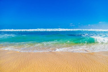 Egzotik mavi tropikal okyanus / deniz tropikal sahne.