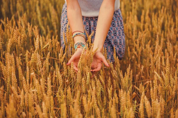 Menina Segurando Trigo Dourado Campo — Fotografia de Stock