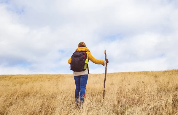 Woman Hiking Empty Mountain Meadow — Stock Photo, Image