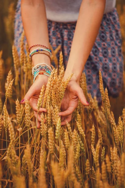 在田野里拿着金色小麦的女孩 — 图库照片