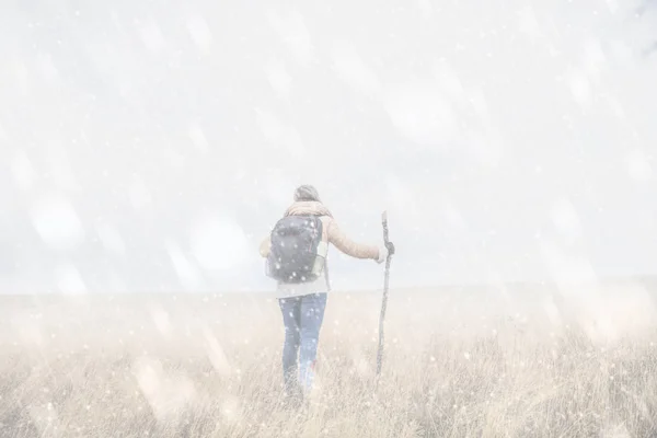 Жінка Ходить Порожньому Гірському Лугу Зимовий Час — стокове фото