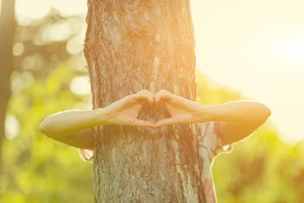 Bir Kalp Şekil Sembolü Ağacın Etrafında Tutan Kız — Stok fotoğraf