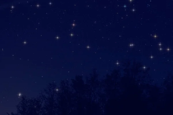 Láctea Estrelas Árvores Silhuetas Natureza — Fotografia de Stock