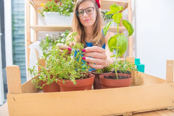 Niña Cuidando Las Plantas Cultivadas Casa Especias — Foto de Stock