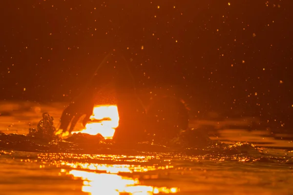 Silhouet Van Een Man Die Zwemmen Tropische Reflecties Optische Richt — Stockfoto