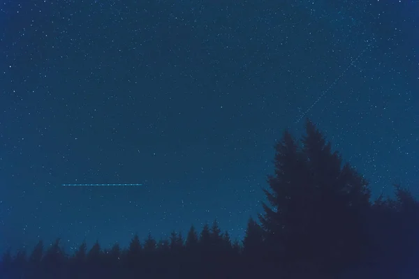 Siluetter Vintergatan Och Skog Mitt Astronomi Arbete — Stockfoto