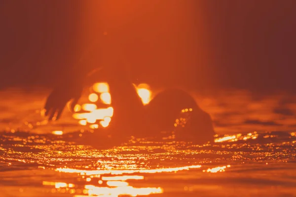 Silhouet Van Een Man Die Zwemmen Tropische Reflecties Optische Nadruk — Stockfoto