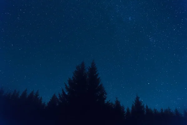 Silhouettes Forêt Avec Étoiles Voie Lactée Dessus Mon Travail Astronomie — Photo