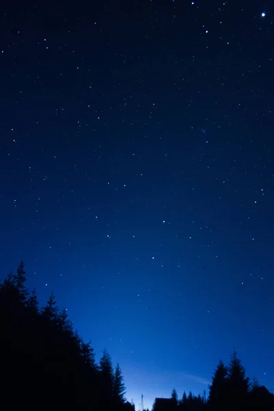 Morgendämmerung Mit Sternen Und Baum Landschaft Silhouetten Meine Astronomische Arbeit — Stockfoto