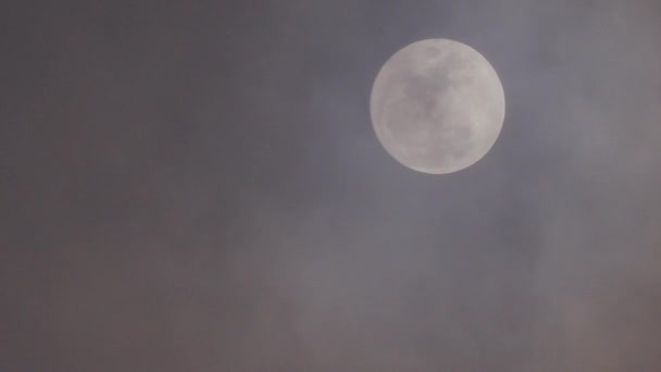 Lua Cheia Brilhante Céu Escuro Noite — Vídeo de Stock