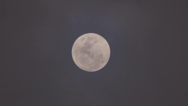 Pleine lune brillante dans un ciel nocturne sombre 
