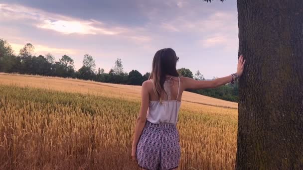 Mujer Joven Posando Árbol Campo Entre Trigo Maduración — Vídeo de stock