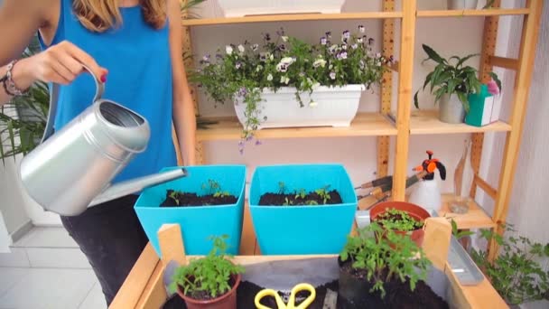 Vrouw Thuis Geteelde Planten Verzorgen — Stockvideo