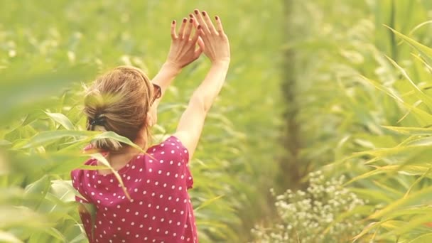 站在明亮的绿色玉米地里放松的年轻妇女 — 图库视频影像