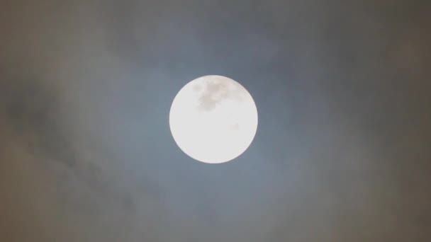 Pleine Lune Brillante Dans Ciel Nocturne Sombre — Video