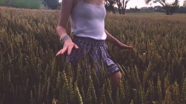 Buğday olgunlaşma arasında alanındaki yürüyen genç kadın