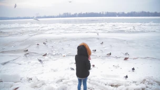 Жінка Годує Качок Голубів Річкою Взимку — стокове відео