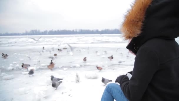 Frau Füttert Enten Und Tauben Winter Fluss — Stockvideo