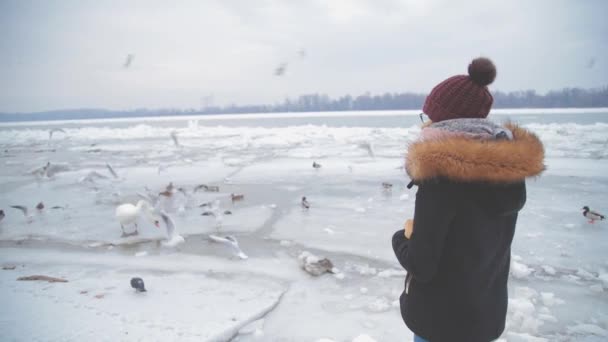 Ördek Güvercin River Kış Aylarında Beslenme Kadın — Stok video