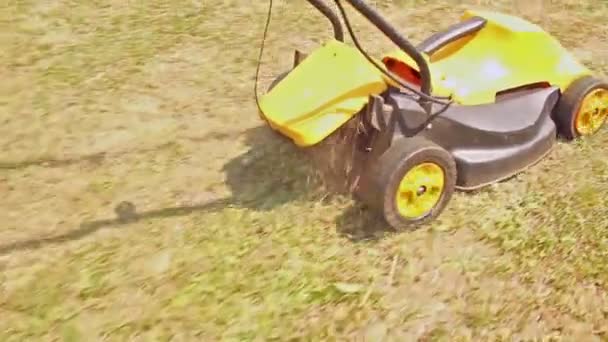 Man Cutting Grass Garden Outdoor Working — Stock Video