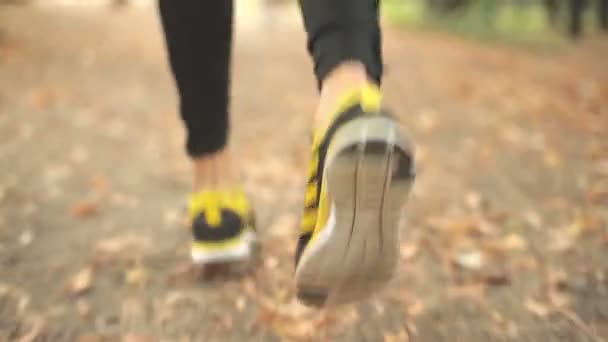 Vista Inferiore Dell Uomo Che Jogging All Aperto Nel Parco — Video Stock