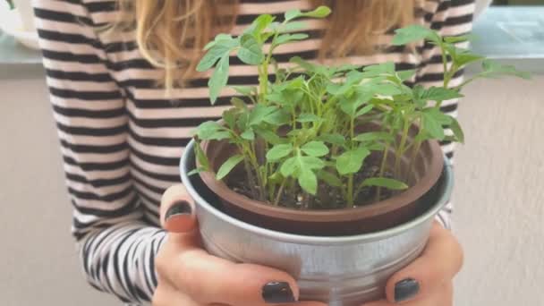 Jonge Vrouw Holding Handen Pot Met Planten — Stockvideo