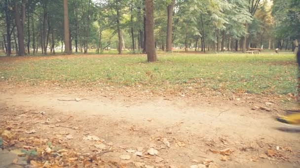 公園内ジョギング男の底面図 — ストック動画