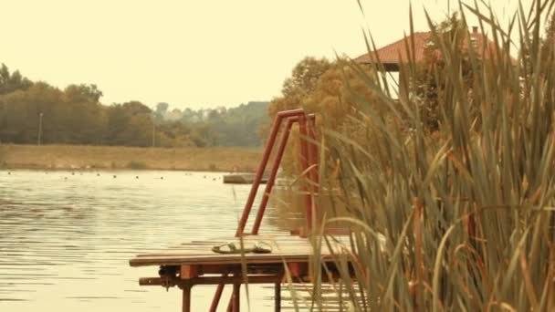 男性に合わせジャンプと湖で泳ぐスイマー — ストック動画