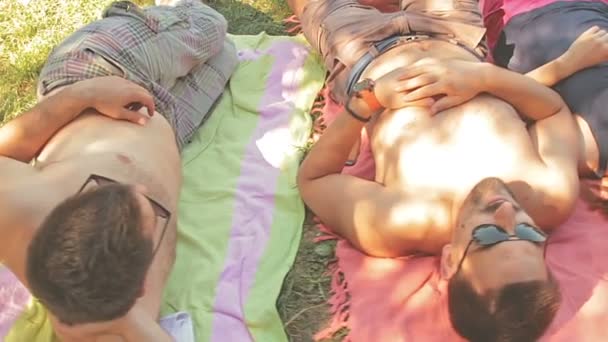 Zwei Paare Entspannen Sich Auf Rosa Decke Park — Stockvideo