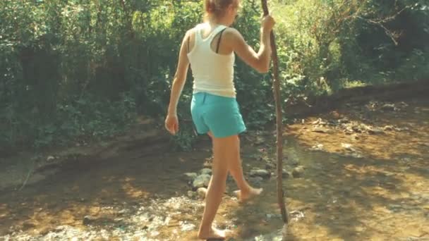 Jonge Vrouw Kruising Stream Forest Stok — Stockvideo