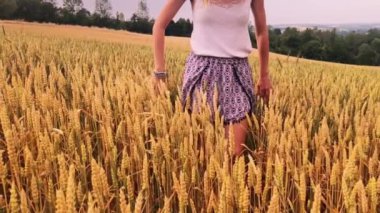 Altın bir buğday - yaz alanında zevk kız.