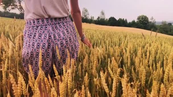 Menina Desfrutando Trigo Dourado Campo Verão — Vídeo de Stock