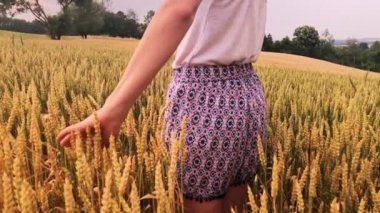 Altın bir buğday - yaz alanında zevk kız.