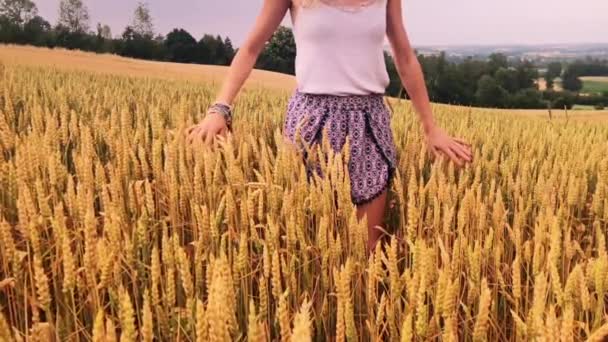 Menina Desfrutando Trigo Dourado Campo Verão — Vídeo de Stock