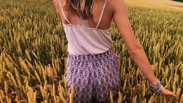 Девушка Наслаждается Золотой Пшеницей Полем Летом — стоковое видео