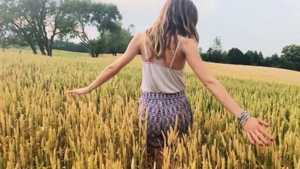 Κορίτσι Απολαμβάνοντας Ένα Χρυσαφένιο Σιτάρι Πεδίο Καλοκαίρι — Αρχείο Βίντεο