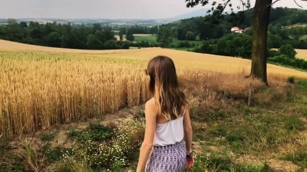 Girl Enjoying Golden Wheat Field Summer — Stock Video