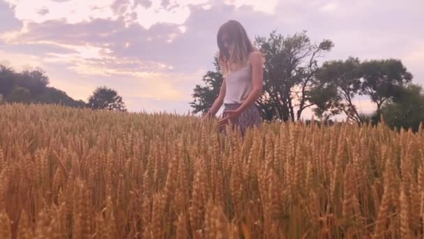 Κορίτσι Απολαμβάνοντας Ένα Χρυσαφένιο Σιτάρι Πεδίο Καλοκαίρι — Αρχείο Βίντεο