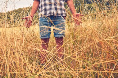 Çim / buğday bitkileri dokunurken çayır zevk Adam.