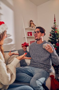 Mutlu çift yeni yıl zevk / Noel arifesi.
