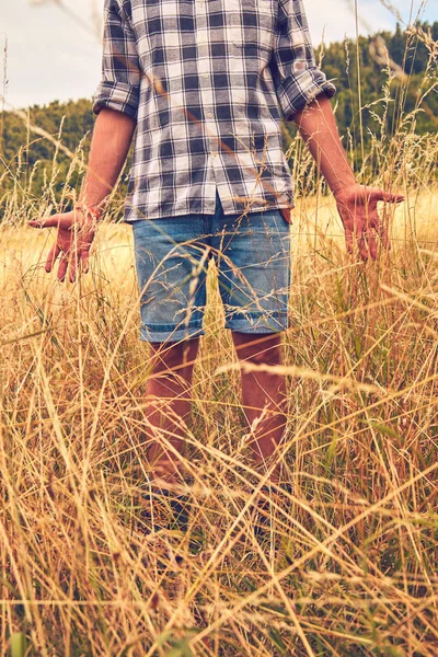Hombre disfrutando de la pradera mientras toca la hierba / plantas de trigo . — Foto de Stock
